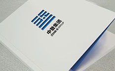 專業(yè)企業(yè)形象策劃服務(wù) 創(chuàng)新宣傳畫冊與手冊設(shè)計